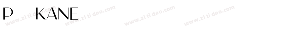 P22 Kane字体转换